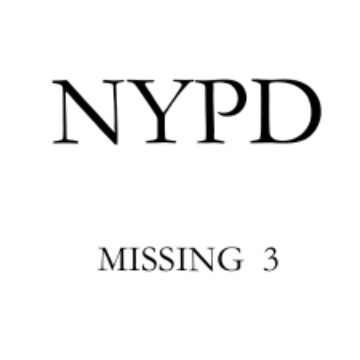 MISSING 3
